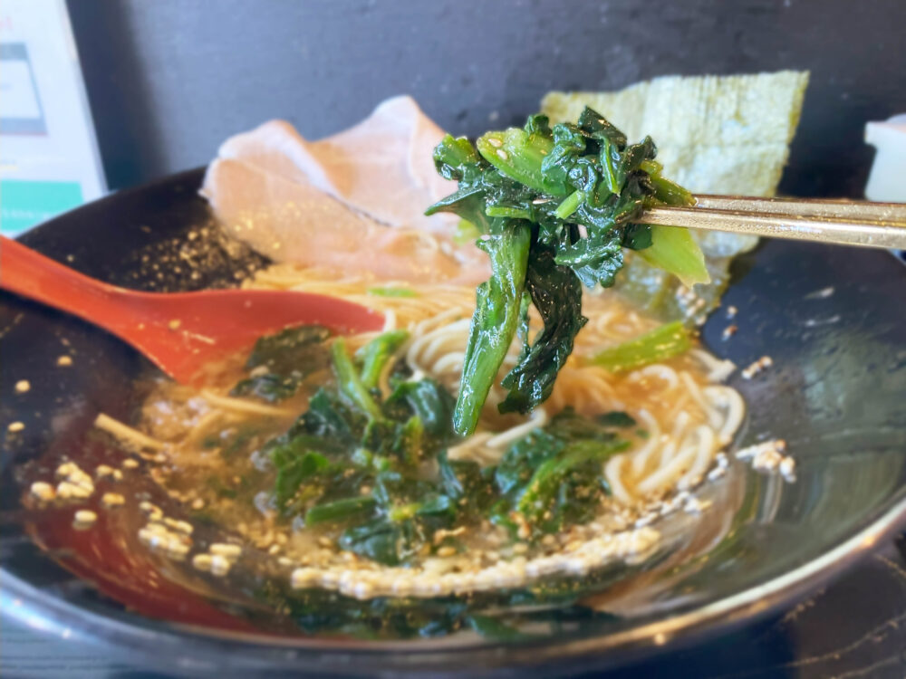 鶏豚骨醤油拉麺 